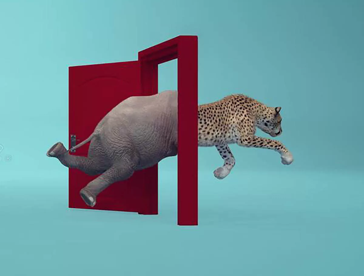 ¿Cómo funciona Transformación? 1