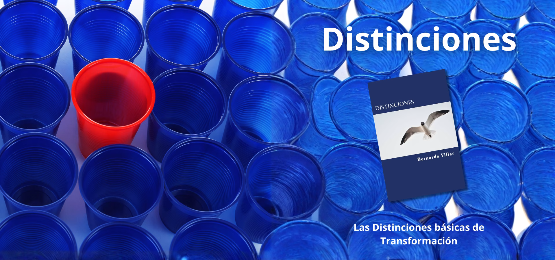 Distinciones de la transformación humana