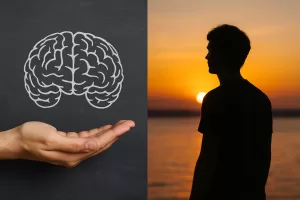 Distinciones 10 Experiencia y Comprensión